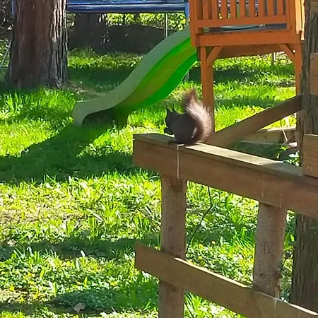 Station touristique Przywisle *