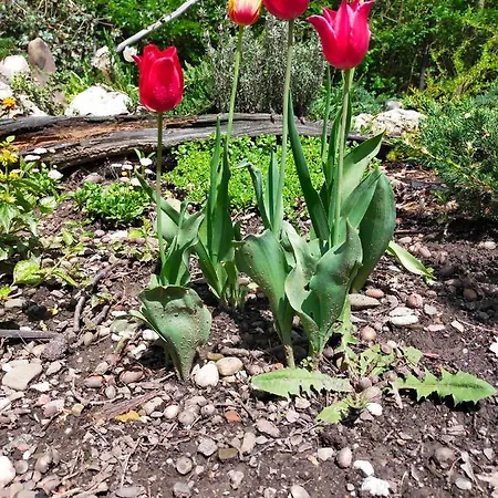 Feriested Przywisle Ustroń