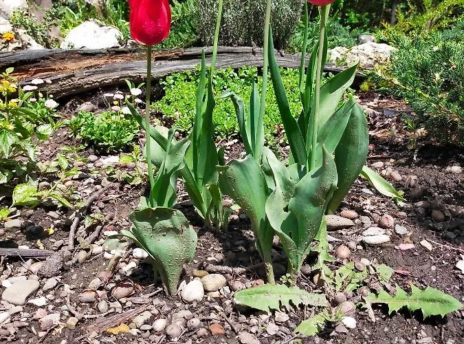 Rezort Przywisle Ustroň